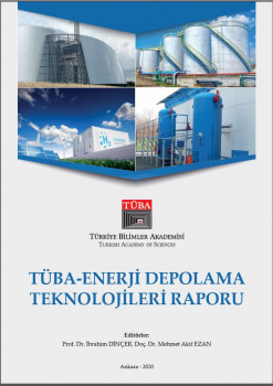 TÜBA-Enerji Depolama Teknolojileri Raporu